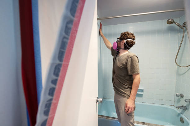 Asbestos and Lead Testing During Mold Inspection in Knox, PA