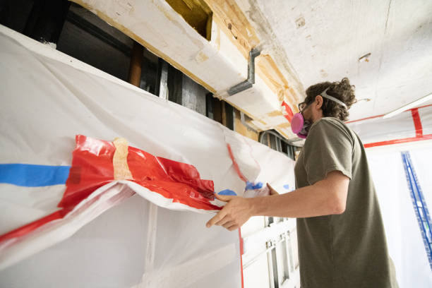Professional Mold Removal in Knox, PA